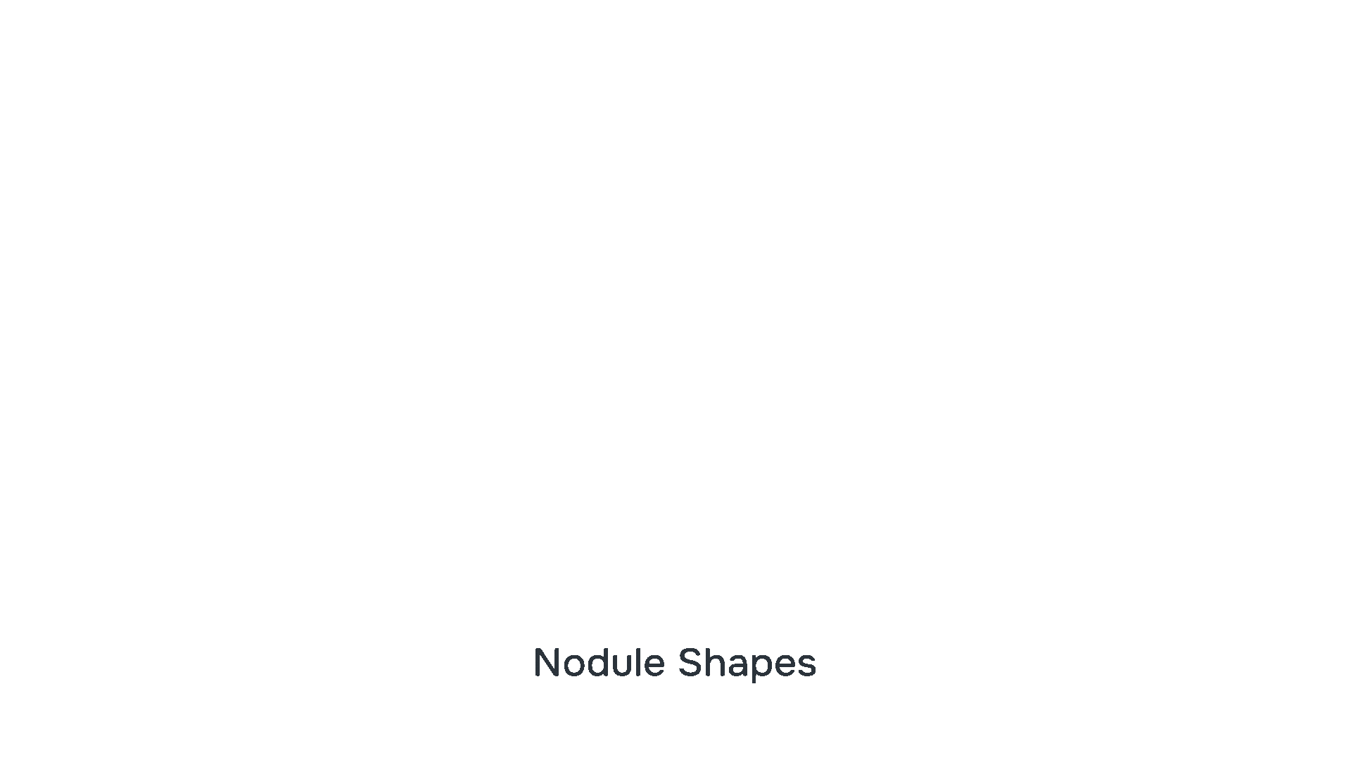 Nodule-Shape-and-Density-Transparent