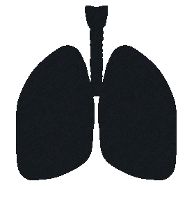 Providers-02A-Potentially-life-saving-for-patients-stage1a