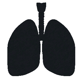 Providers-02A-Potentially-life-saving-for-patients-stage3c