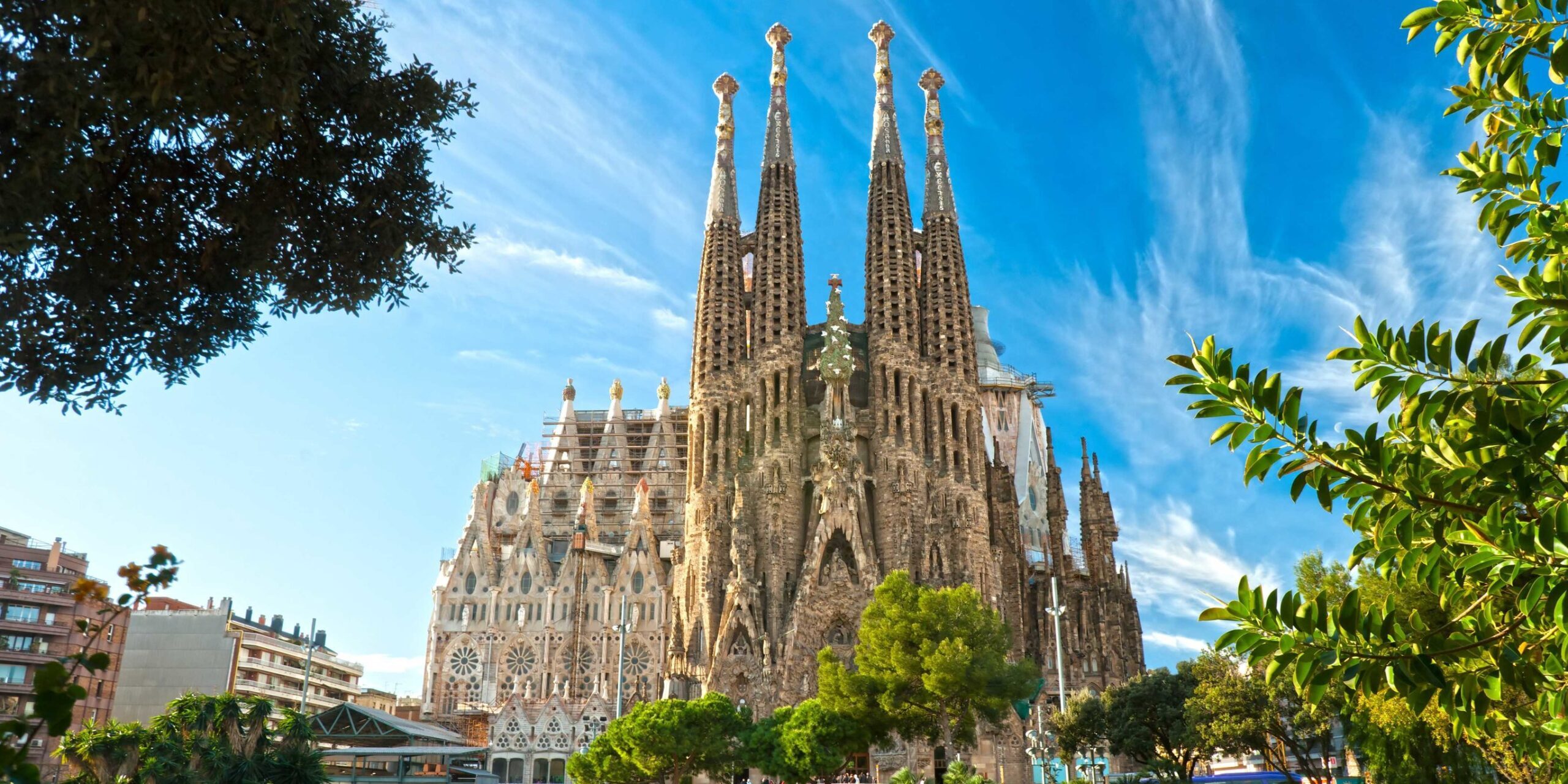 Optellum Science at the World Conference on Lung Cancer